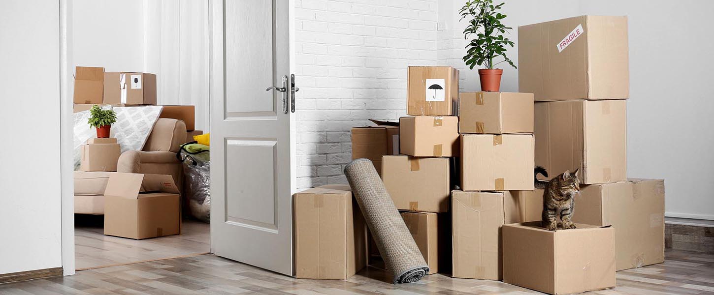 Radha Cargo Packers and Movers Patna